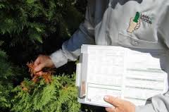 Tech-with clipboard-and-shrub
