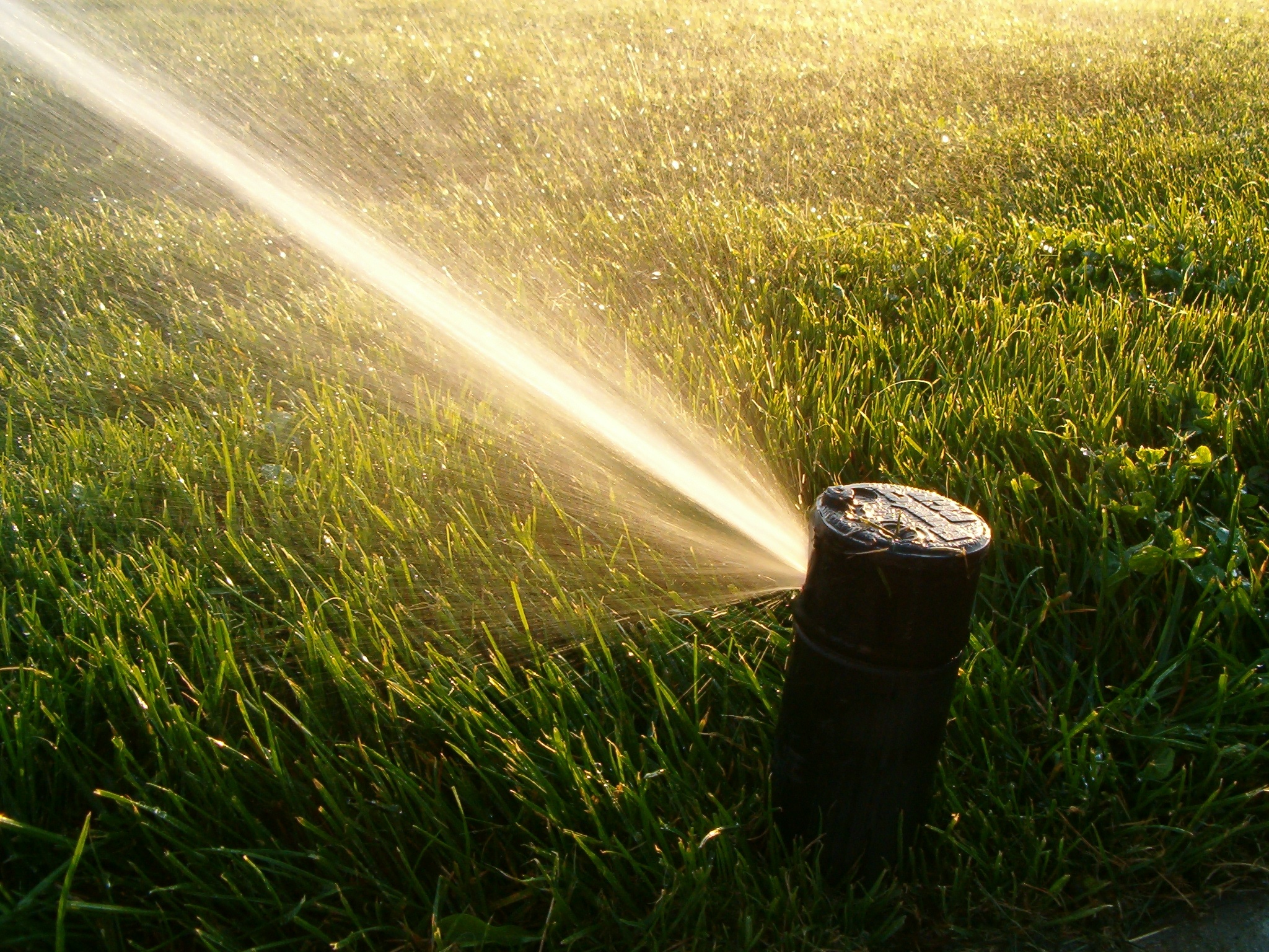 how-often-should-i-water-my-lawn-with-a-sprinkler-system-abc-blog