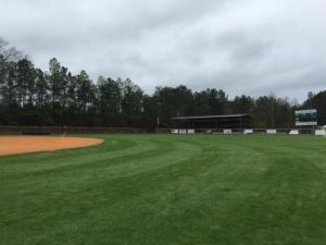 Beautiful green baseball outfield showing weed control in Alpharetta