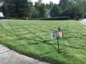lawn fertilizer service Gainesville