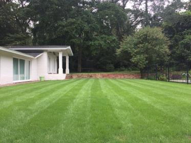 Lines left in lawn from mowing showing professional lawn care in Alpharetta