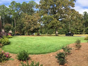 a healthy looking lawn with trees