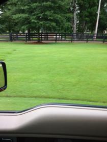 weed control service Buford
