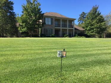 a sprawling green lawn in front of a house showing lawn weed control in Alpharetta