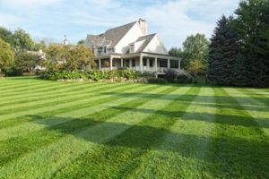 A beautiful well planned Lawn with Service in Edgewater