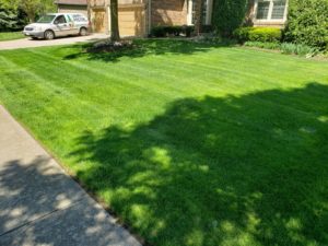 View of a beautiful lawn after weed control in Lake Villa