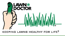 green lawn doctor thumb with grass