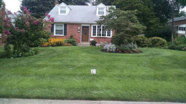 A beautiful lawn in front of a small cute house showing affordable lawn care in West Chester