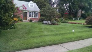 beautiful lawn in the Chester area