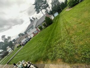 Lawn Treatment in Chester County