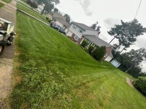 Lawn Treatment in Delaware County