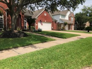 Outside lawn looks good after maintenance and tips for Lawn Aeration in Rosedale