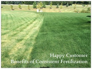 green grass treated by lawn care in Naperville