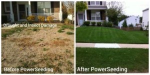 results from power and lawn seeding 