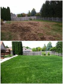 Before and after a completed lawn seeding project showing lawn care services in Beavercreek