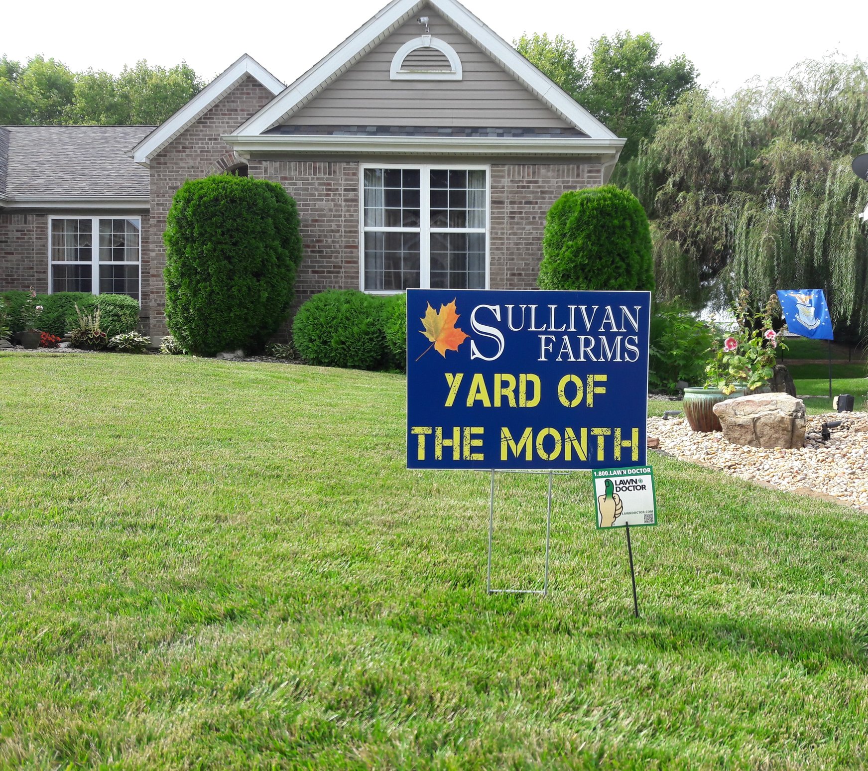 Picture of front yard with sign for yard of the month showing lawn care in Bellville