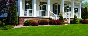 lawn care service in boston