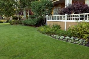 organic lawn treatment