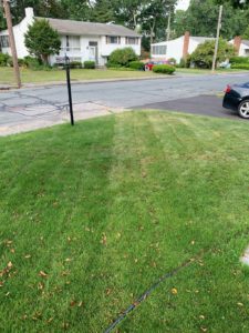 lawn cut with 2 heights
