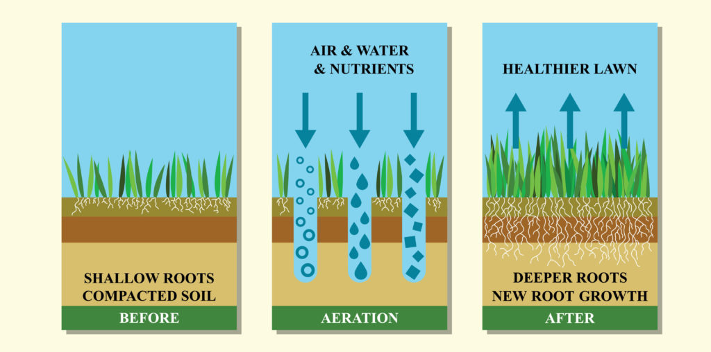 soil compaction chart