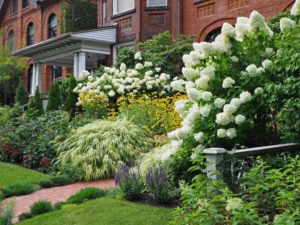 flowers and trees in front of brick houses