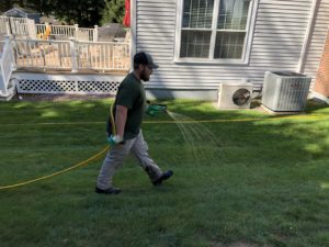 Lawn doctor doing lawn maintenance in Framingham