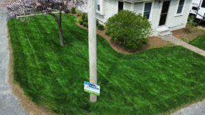 Green Grass of a beautiful Lawn, lawn care company in Framingham