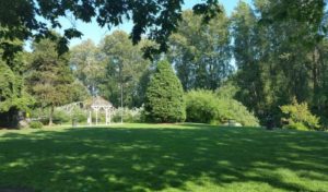 Lawn Maintenance in Redmond: Tips for Better Color