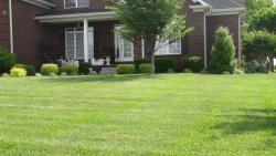 lawn services in Bowling Green, KY