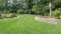 Lawn Insect Control in Bowling Green