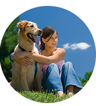 Girl sitting and hugging her dog on lawn fertilization green grass