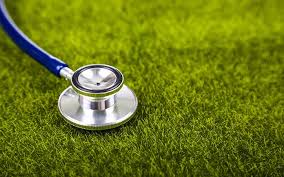 A statoscope checking lawn Health, Lawn treatment Dutchess County 