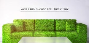 couch covered in lawn grass, Lawn care company in Burlington