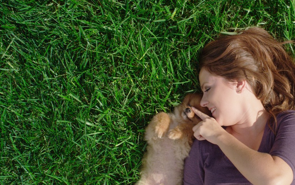 Pretty Woman playing with cute puppy on manicured lawn fertilization grass