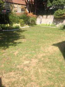 Before a completed lawn pest control project in the area