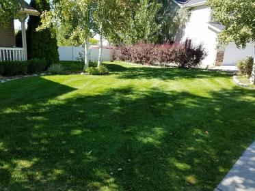 beautiful green front yard showing affordable lawn care in Logan