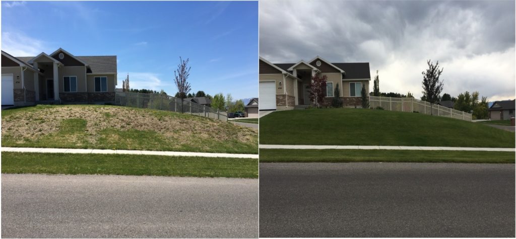 lawn after lawn care in Bountiful, UT