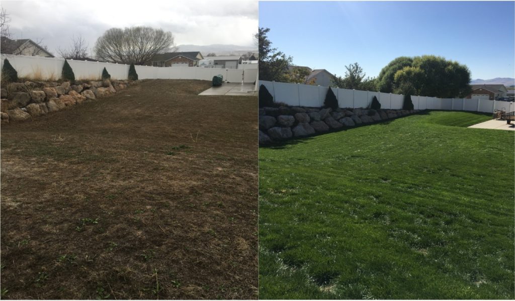 lawn after lawn care in Layton, UT