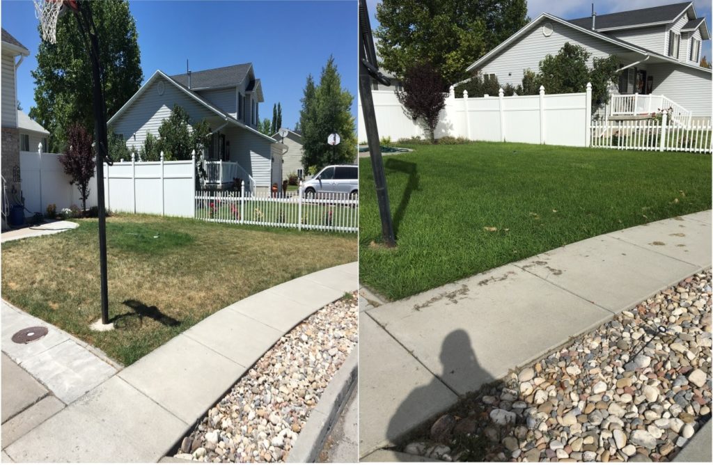 lawn after lawn care in Morgan, UT