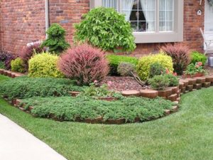 trees and shrubs in cache valley ut