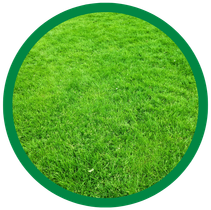 Lawn Service in Hyde Park