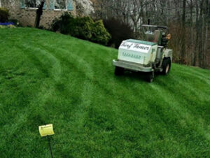 Local Lawn Care Service in Smithfield