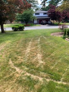 Lawn Doctor South Shore Cape Cod Duxbury lawn