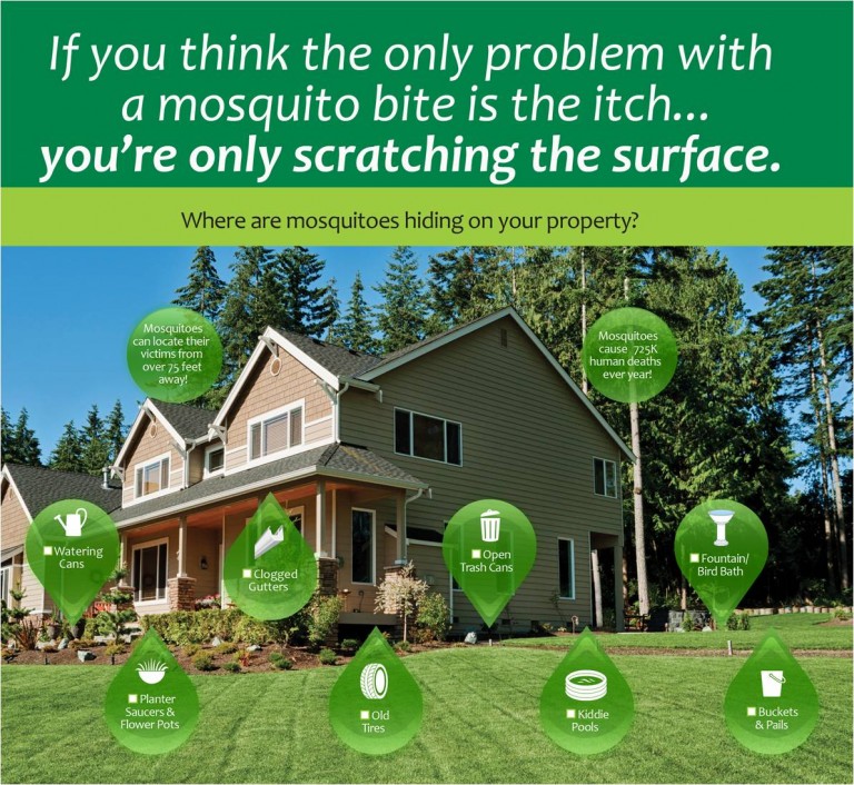 infographic of where mosquitoes hide on your lawn. Mosquito control can stop them from hiding