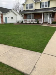 Lawn Care Company in Lancaster