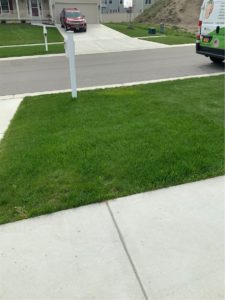 Beautiful lawn after lawn care service in Orchard Park