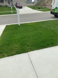 Lawn Care Company in Orchard Park