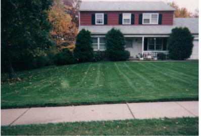  lawn services in Doylestown