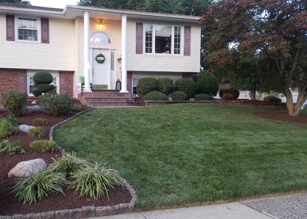 Warminster lawn after lawn care service