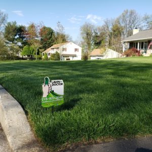 lawn care in Blue Bell